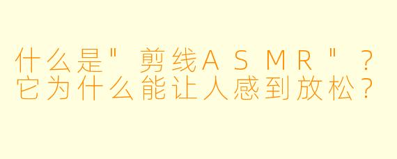 什么是
