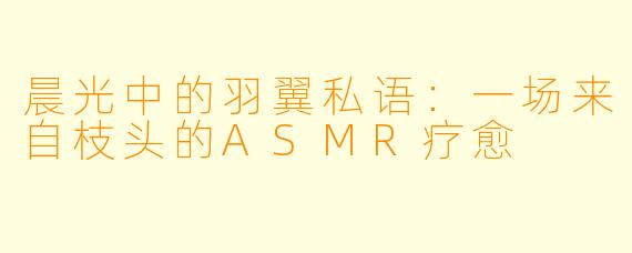 晨光中的羽翼私语：一场来自枝头的ASMR疗愈